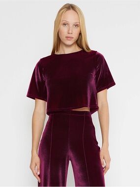 Ripley Rader MERLOT STRETCH VELVET SHORT SLEEVE TOP- VGUC Sz L
